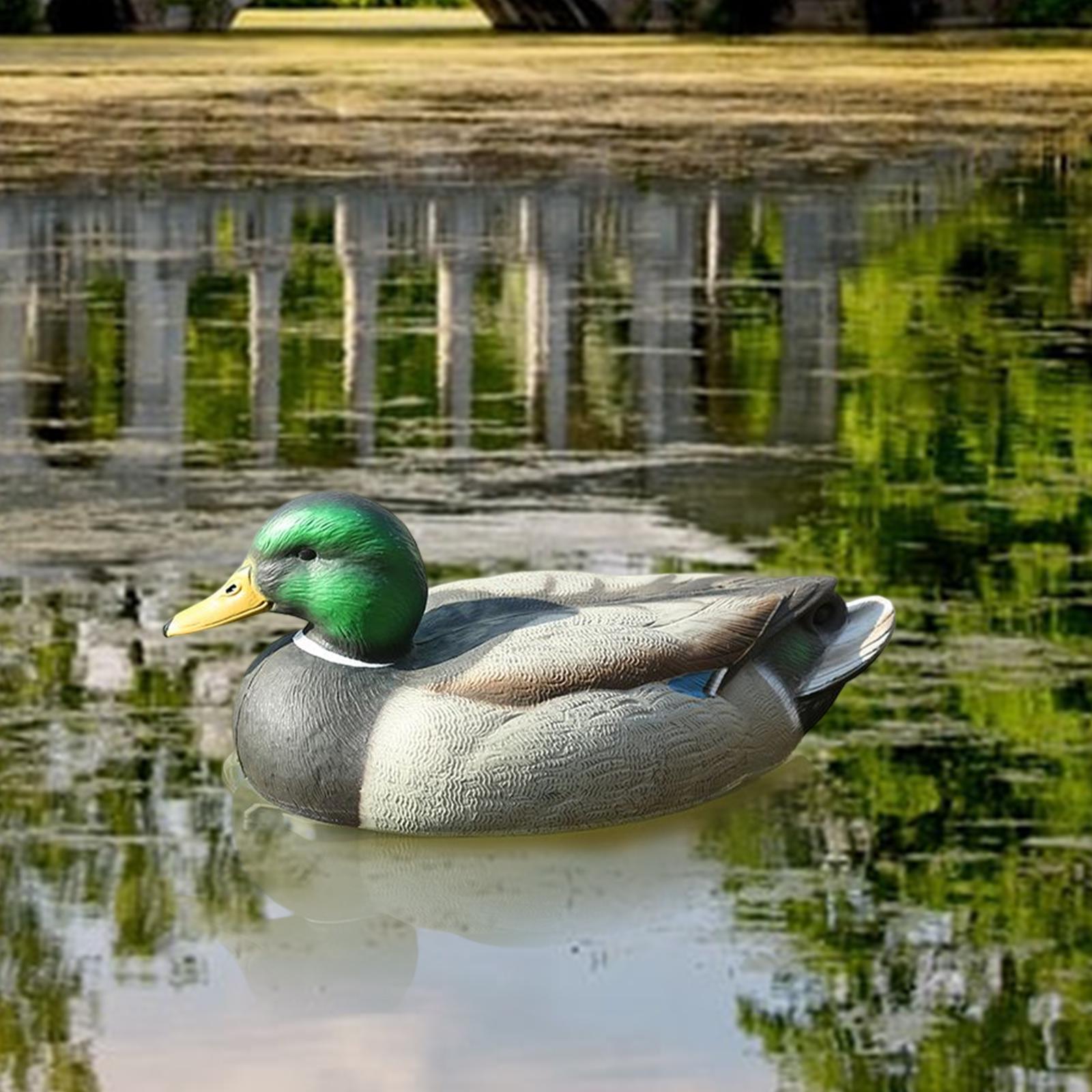 Decoy Duck Plastic - Richiamo per Anatre in Plastica Anatomicamente