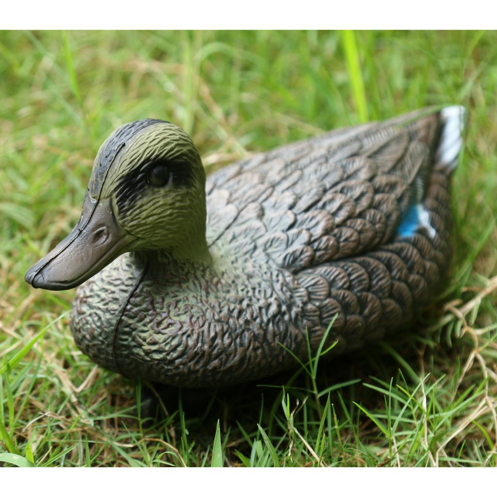 Richiamo per anatre mandarino  - Decoy Duck Plastic recensione e prezzo