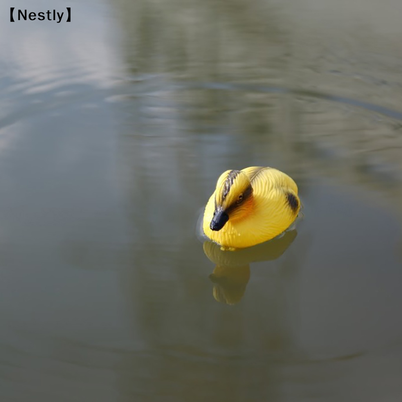 Statua Galleggiante di Anatre  - Decoy Duck Plastic recensione e prezzo