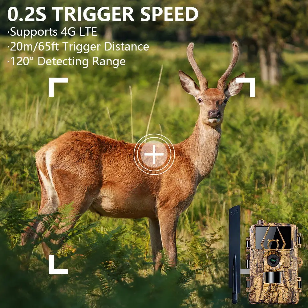 Pr801 4G Osservazione di rete  - Outdoor Hunting House recensione e prezzo