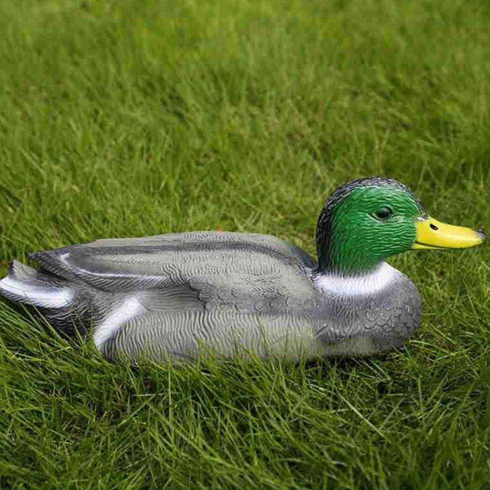 Richiamo per Anatre Realistico - Decoy Duck Plastic recensione e prezzo