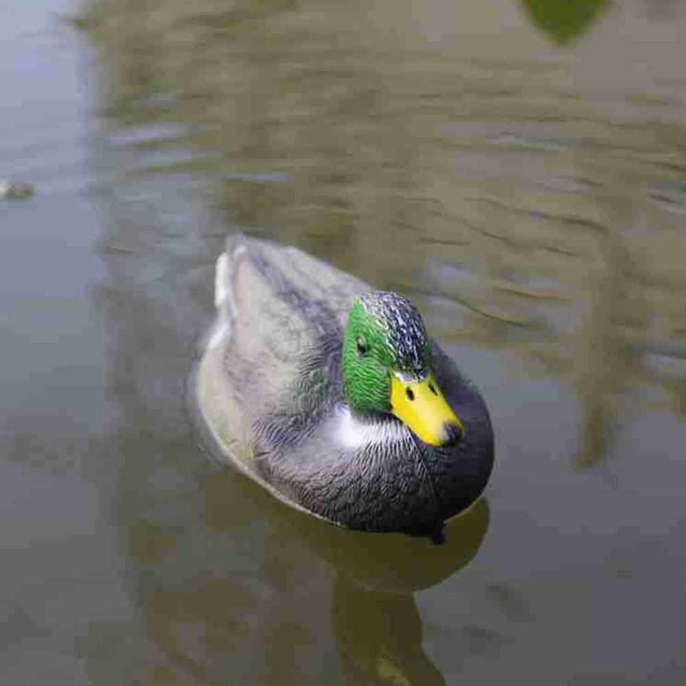 Richiamo per Anatre Realistico - Decoy Duck Plastic recensione e prezzo