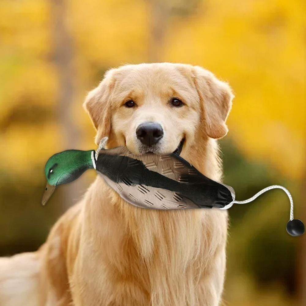 Richiamo per cani a forma di a - Decoy Duck Plastic recensione e prezzo