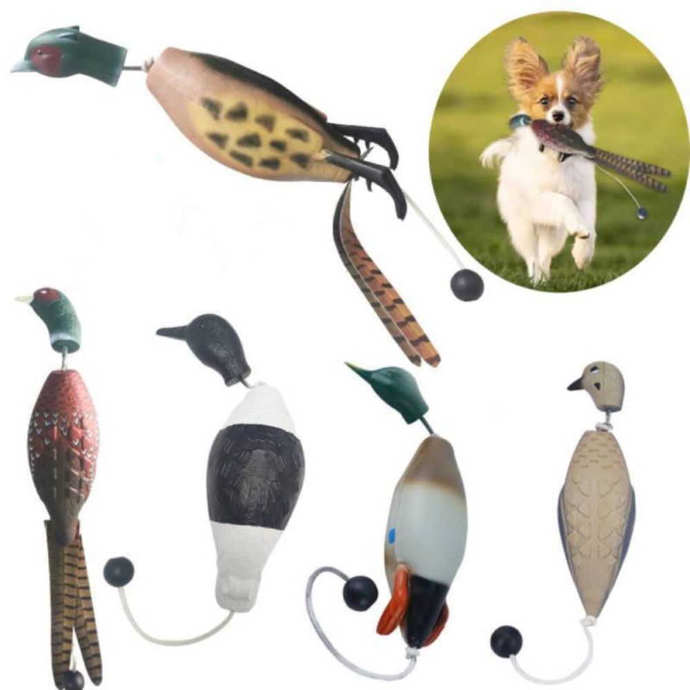 Richiamo per cani a forma di a - Decoy Duck Plastic recensione e prezzo