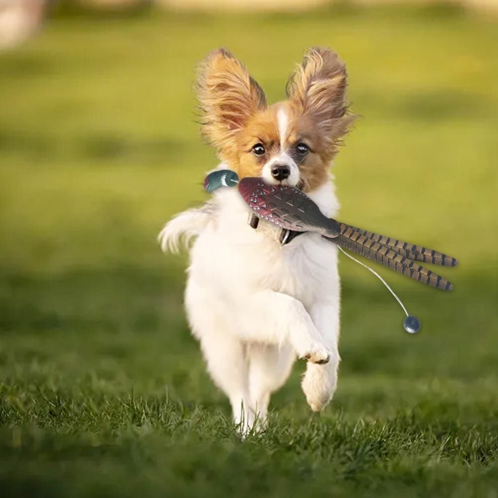 Richiamo per cani a forma di a - Decoy Duck Plastic recensione e prezzo