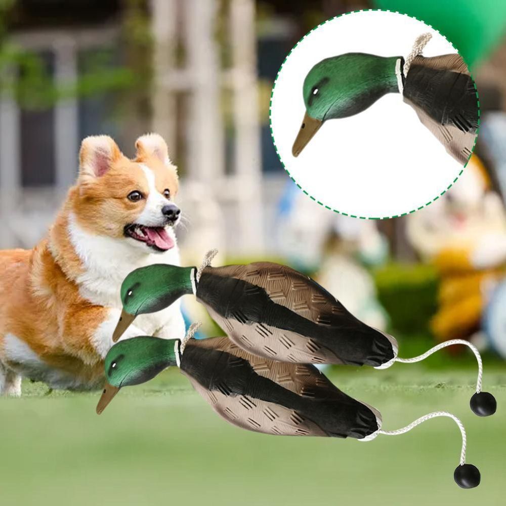 Giocattoli di addestramento pe - Decoy Duck Plastic recensione e prezzo