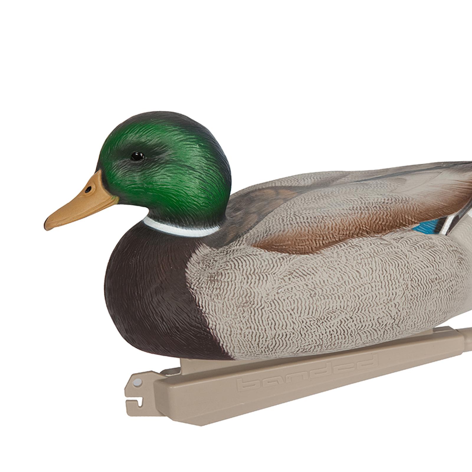Richiamo per Anatre in Plastic - Decoy Duck Plastic recensione e prezzo