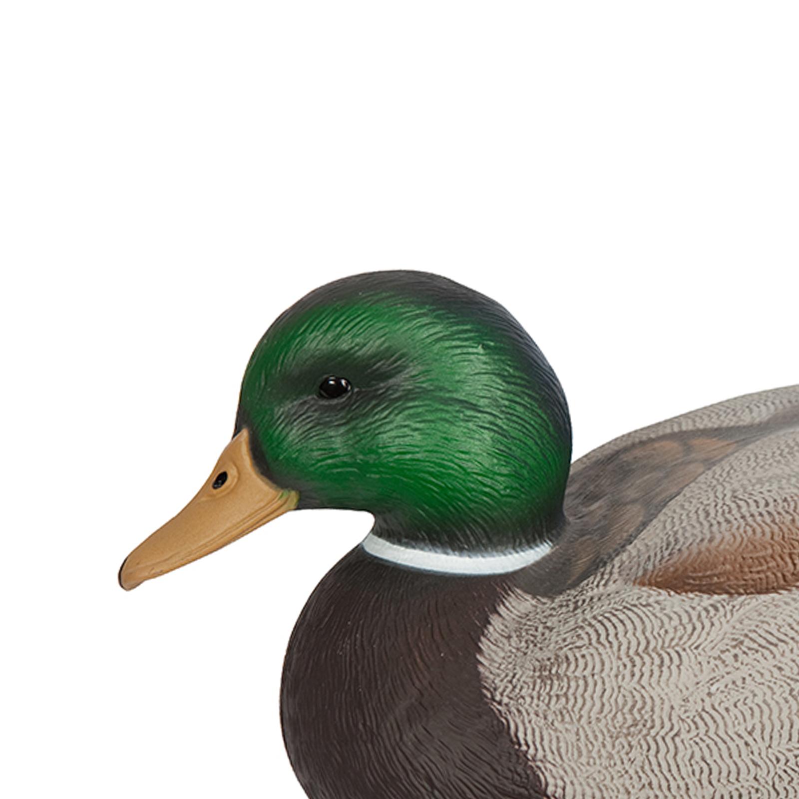 Richiamo per Anatre in Plastic - Decoy Duck Plastic recensione e prezzo