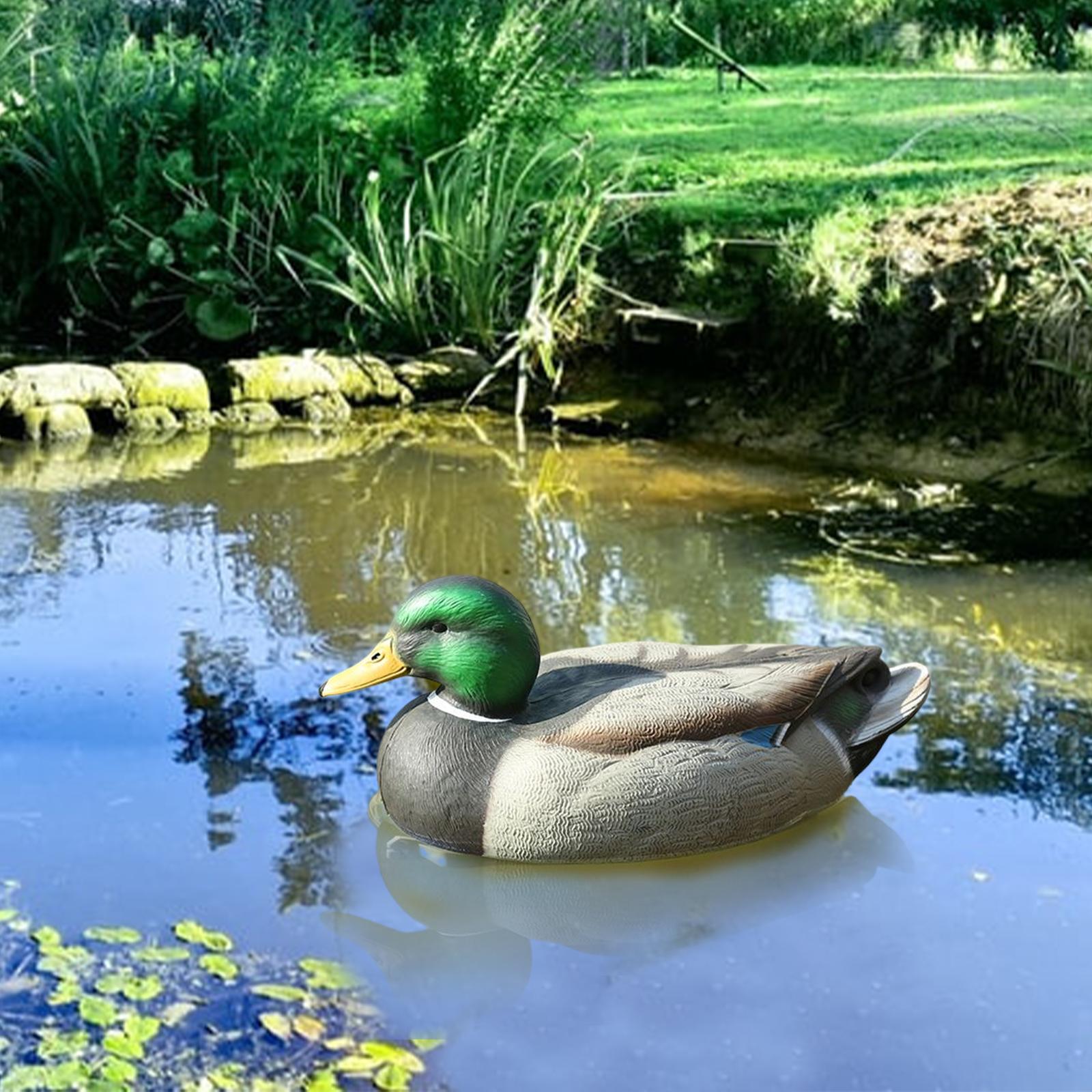 Richiamo per Anatre in Plastic - Decoy Duck Plastic recensione e prezzo