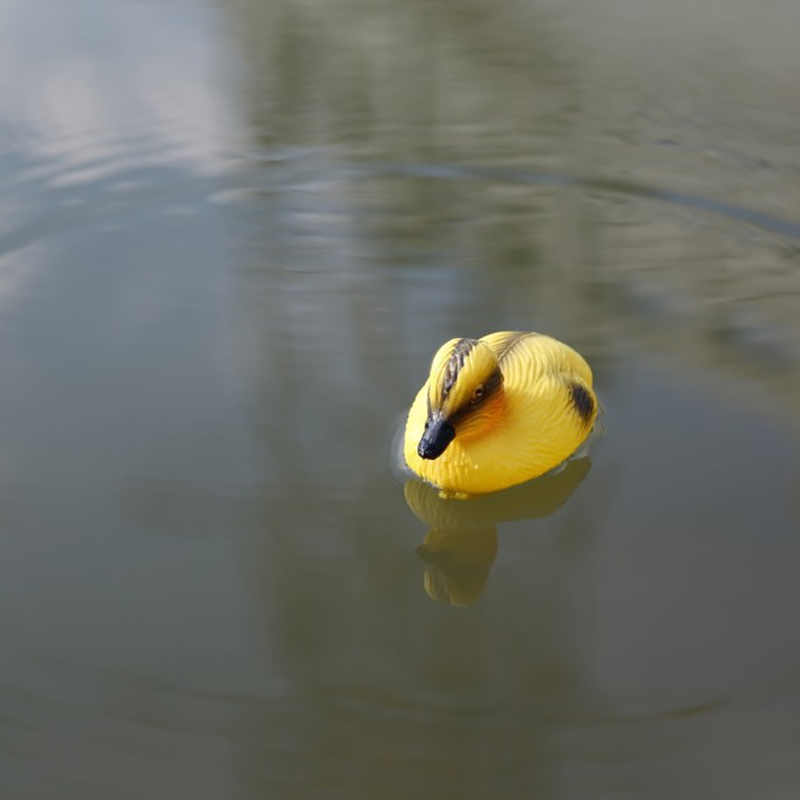 Anatra galleggiante Anatroccol - Decoy Duck Plastic recensione e prezzo