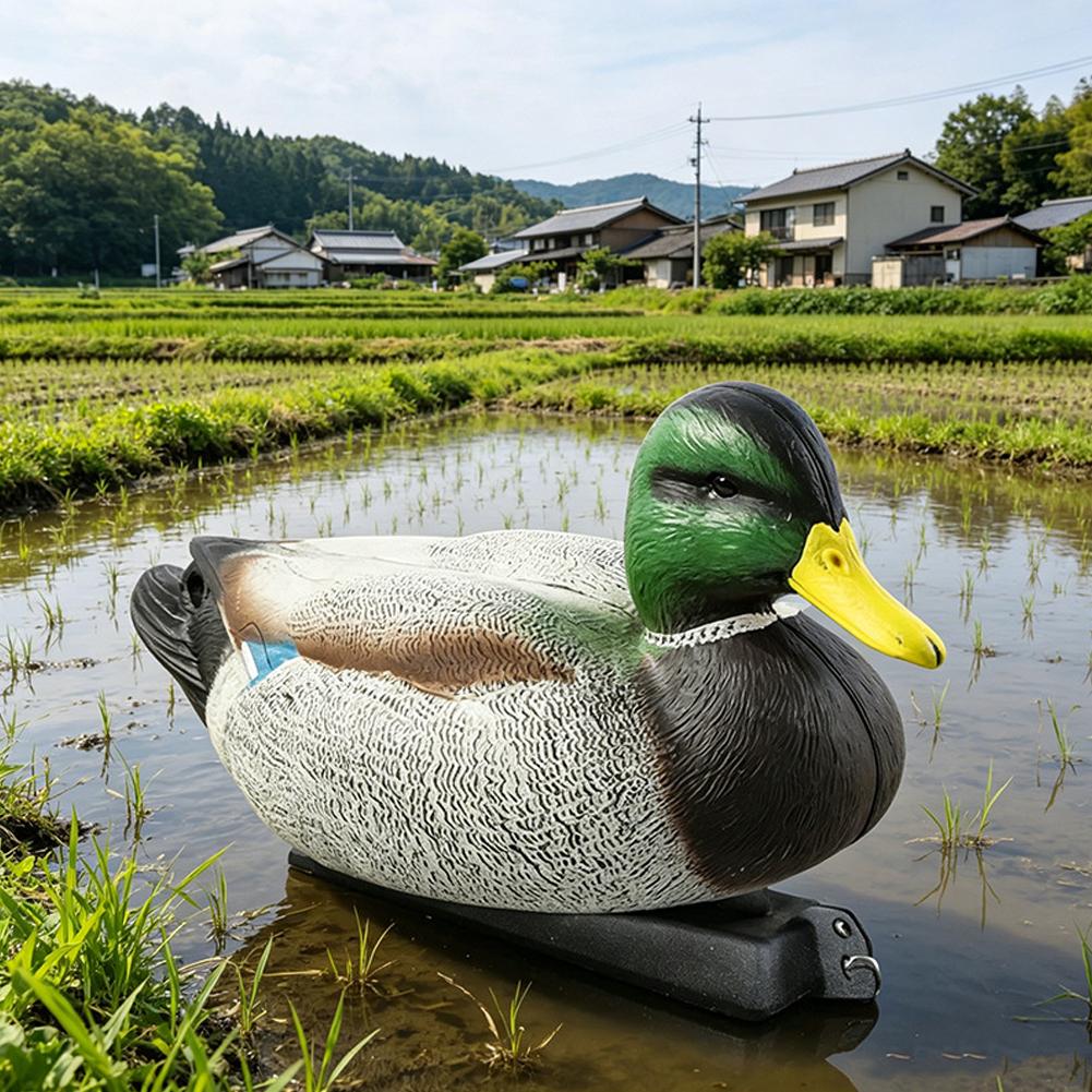 Richiamo Galleggiante a Forma  - Decoy Duck Plastic recensione e prezzo